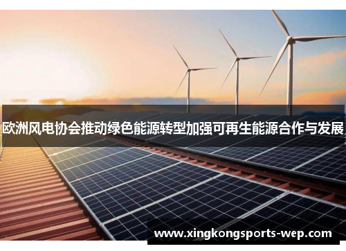 欧洲风电协会推动绿色能源转型加强可再生能源合作与发展