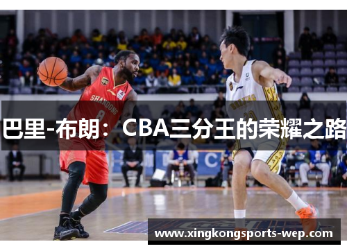 巴里-布朗：CBA三分王的荣耀之路
