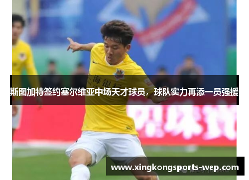 斯图加特签约塞尔维亚中场天才球员，球队实力再添一员强援