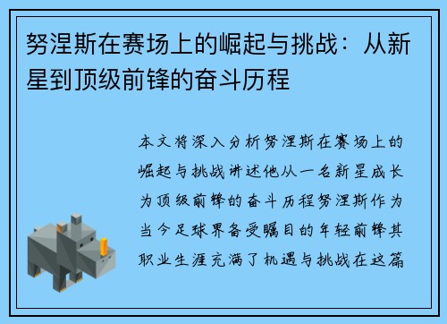努涅斯在赛场上的崛起与挑战：从新星到顶级前锋的奋斗历程