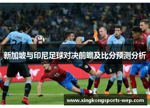 新加坡与印尼足球对决前瞻及比分预测分析